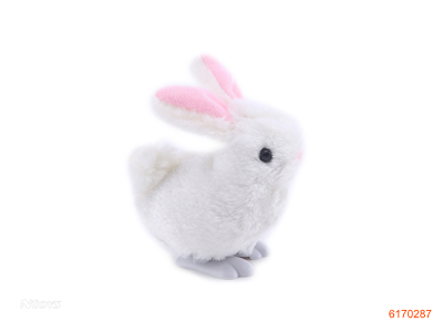 WIND UP RABBIT