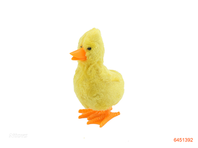 WIND UP DUCK