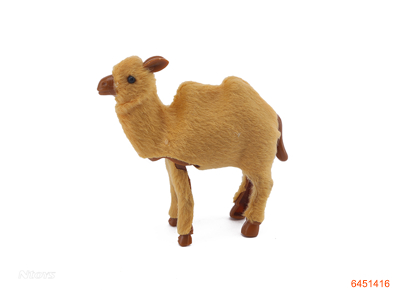 WIND UP CAMEL