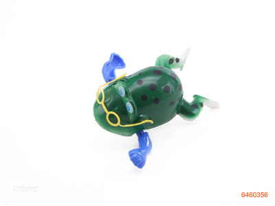 WIND UP FROG CAN SWIM