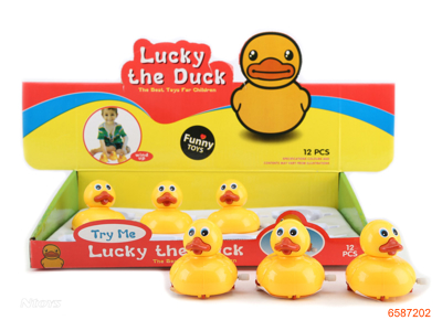 WIND UP YELLOW DUCK 12PCS/BOX