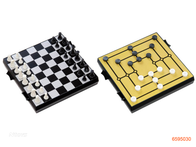 2 IN 1 CHESS