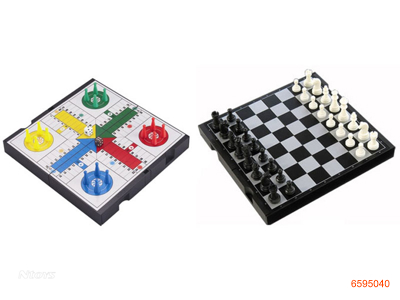 2 IN 1 CHESS