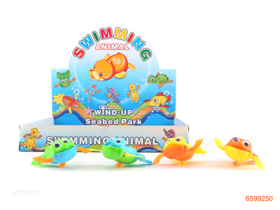 WIND UP FROG 12PCS/BOX