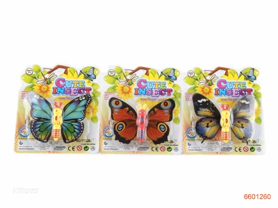 WIND UP BUTTERFLY.3ASTD.2COLOUR