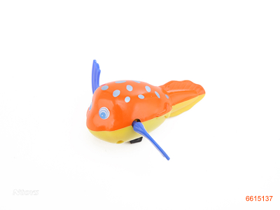 WIND UP TADPOLE