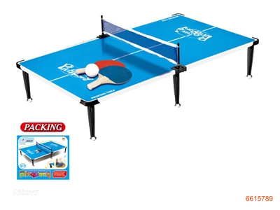 TENNIS TABLE