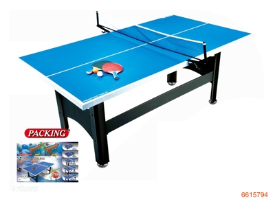 TENNIS TABLE