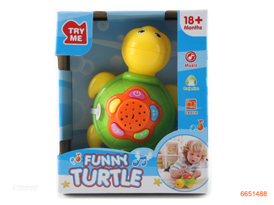 B/O TURTLE W/2*AAA BATTERIES