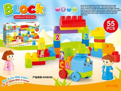 BLOCK 55PCS