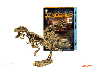 ASSEMBLING DIONSAUR BONES