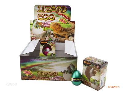 GROWING LIZARD EGG 12PCS/DISPLAY BOX