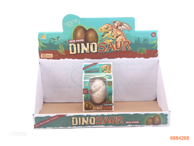 ARCHAEOLOGICAL FOSSIL 12PCS/DISPLAY BOX