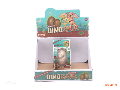 ARCHAEOLOGICAL FOSSIL 12PCS/DISPLAY BOX