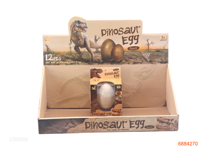 ARCHAEOLOGICAL FOSSIL 12PCS/DISPLAY BOX