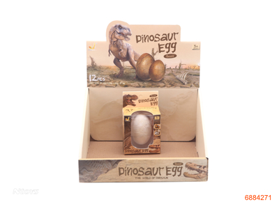 ARCHAEOLOGICAL FOSSIL 12PCS/DISPLAY BOX