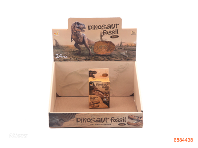 ARCHAEOLOGICAL FOSSIL 12PCS/DISPLAY BOX