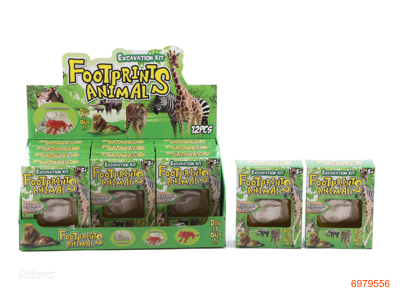 ANIMAL FOSSIL 12PCS/DISPLAY BOX