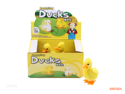 WIND UP DUCK 12PCS/DISPLAY BOX