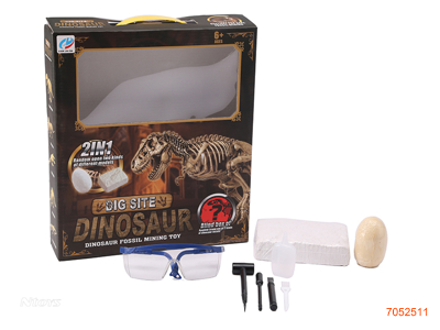 2IN1 ARCHAEOLOGICAL FOSSIL SET