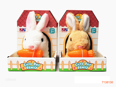 B/O PLUSH RABBIT SET W/SOUND W/O 2*AA BATTERIES 2COLOURS